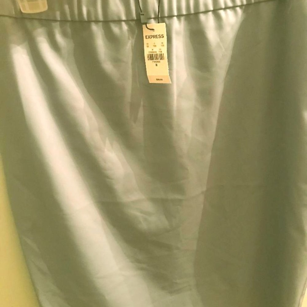 Express Skirt